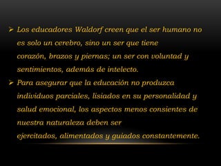  Los educadores Waldorf creen que el ser humano no
  es solo un cerebro, sino un ser que tiene
  corazón, brazos y pierna...