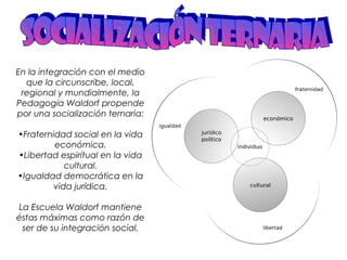 En la integración con el medio 
que la circunscribe, local, 
regional y mundialmente, la 
Pedagogía Waldorf propende 
por una socialización ternaria: 
•Fraternidad social en la vida 
económica. 
•Libertad espiritual en la vida 
cultural. 
•Igualdad democrática en la 
vida jurídica. 
La Escuela Waldorf mantiene 
éstas máximas como razón de 
ser de su integración social. 
 
