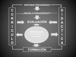ENFOQUE PEDAGÓGICO

C                        D
    MODELO PEDAGÓGICO
U                        I
R                        D
R     EVALUACIÓN         A
I                        C
C      APRENDIZAJE:      T
U      DESARROLLO
         HUMANO
                         I
L                        C
O                        A

      FORMACIÓN
 