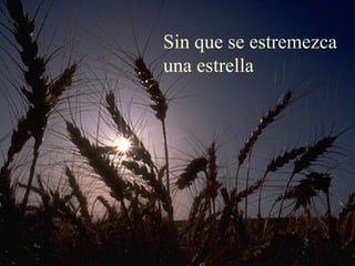 Sin que se estremezca
una estrella
 