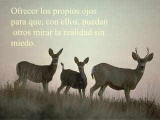 Ofrecer los propios ojos
para que, con ellos, puedan
otros mirar la realidad sin
miedo.
 