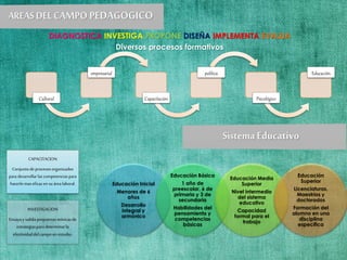 DIAGNOSTICA INVESTIGA PROPONE DISEÑA IMPLEMENTA EVALUA
Diversos procesos formativos
Cultural
empresarial
Capacitación
política
Psicológico
Educación
Educación Inicial
Menores de 6
años
Desarrollo
integral y
armónico
Educación Básica
1 año de
preescolar, 6 de
primaria y 3 de
secundaria
Habilidades del
pensamiento y
competencias
básicas
Educación Media
Superior
Nivel intermedio
del sistema
educativo
Capacidad
formal para el
trabajo
Educación
Superior
Licenciaturas,
Maestrías y
doctorados
Formación del
alumno en una
disciplina
especifica
CAPACITACION
Conjunto de procesosorganizados
para desarrollarlascompetenciaspara
hacerlomas eficazen su árealaboral.
INVESTIGACION
Ensayay validapropuestasteóricasde
estrategiaspara determinarla
efectividaddelcampo en estudio.
 