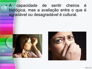 • A capacidade de sentir cheiros é
biológica, mas a avaliação entre o que é
agradável ou desagradável é cultural.
 