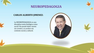 NEUROPEDAGOGIA
CARLOS ALBERTO JIMENEZ:
La NEUROPEDAGOGIA es una
disciplina tanto biológica como
social. No puede haber mente
sin cerebro, ni cerebro sin
contexto social y cultural.
 