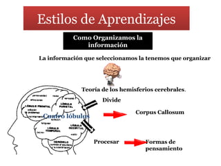 Como Organizamos la
información
Estilos de Aprendizajes
La información que seleccionamos la tenemos que organizar
Teoría de los hemisferios cerebrales.
Divide
Cuatro lóbulos
Corpus Callosum
Formas de
pensamiento
Procesar
 
