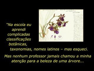 “Na escola eu
aprendi
complicadas
classificações
botânicas,
taxonomias, nomes latinos – mas esqueci.
Mas nenhum professor jamais chamou a minha
atenção para a beleza de uma árvore...
 
