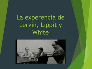 La experencia de
Lervin, Lippit y
White
 