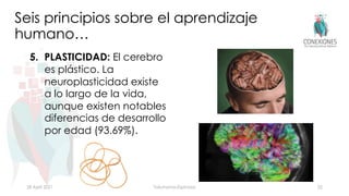 5. PLASTICIDAD: El cerebro
es plástico. La
neuroplasticidad existe
a lo largo de la vida,
aunque existen notables
diferenc...