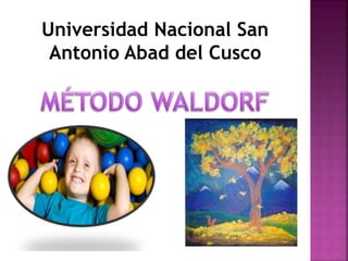 Universidad Nacional San 
Antonio Abad del Cusco 
 