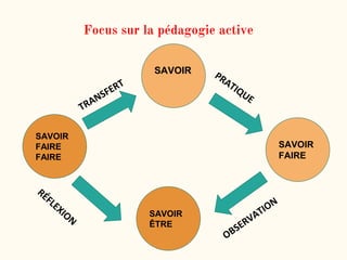Focus sur la pédagogie active
-+
SAVOIR
SAVOIR
ÊTRE
SAVOIR
FAIRE
SAVOIR
FAIRE
FAIRE
 