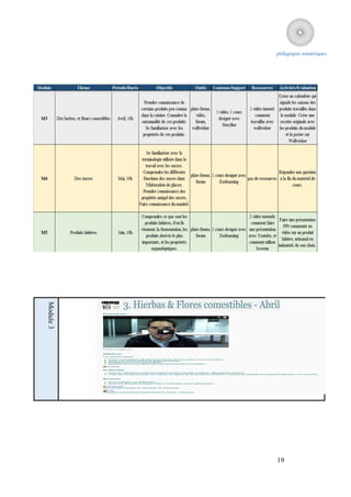 pédagogies numériques
Module 3




           19
 
