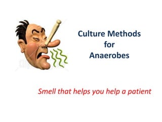 Culture Methods
for
Anaerobes
Smell that helps you help a patient
 