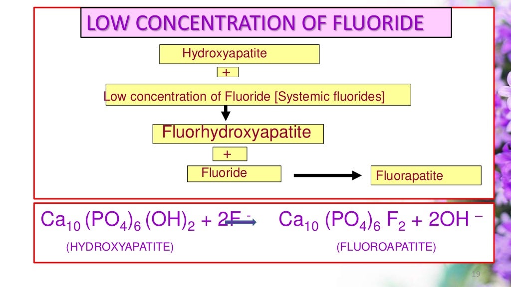 MECHANISM OF ACTION OF FLUORIDE
