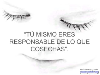 “ TÚ MISMO ERES RESPONSABLE DE LO QUE COSECHAS”.   