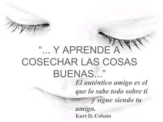 “ ... Y APRENDE A COSECHAR LAS COSAS BUENAS...” El auténtico amigo es el que lo sabe todo sobre tí  y sigue siendo tu amigo. Kurt D. Cobain   