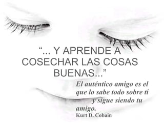 “ ... Y APRENDE A COSECHAR LAS COSAS BUENAS...” El auténtico amigo es el que lo sabe todo sobre tí  y sigue siendo tu amigo. Kurt D. Cobain   