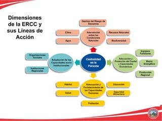 Dimensiones
de la ERCC y
sus Líneas de
   Acción
 