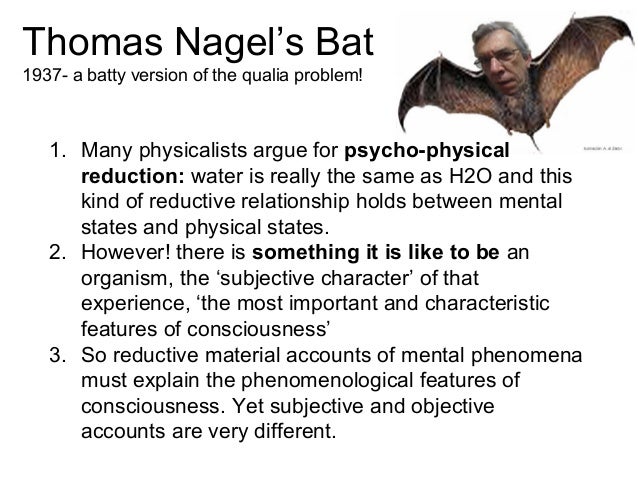 Nagel Bats And The Hard Problem