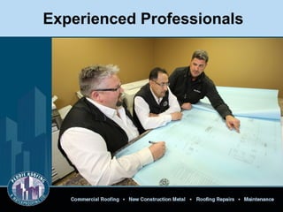 Experienced Professionals
 