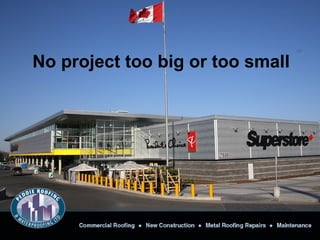 No project too big or too small
 