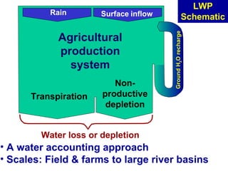 Livestock and water in developing countries (SSA)