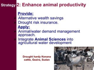 Livestock and water in developing countries (SSA)
