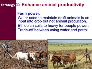 Livestock and water in developing countries (SSA)