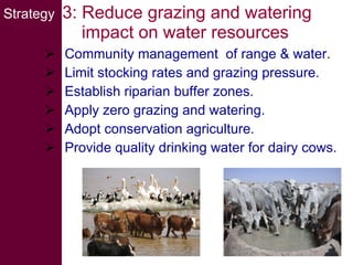 Livestock and water in developing countries (SSA)