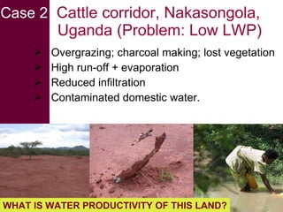 Livestock and water in developing countries (SSA)