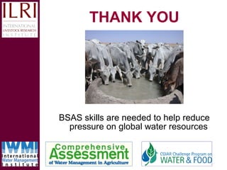 Livestock and water in developing countries (SSA)