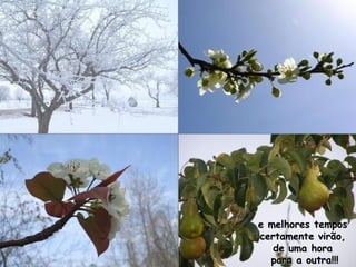 e melhores tempos
certamente virão,
   de uma hora
  para a outra!!!
 