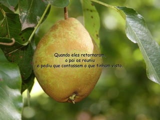 Quando eles retornaram,
              o pai os reuniu
e pediu que contassem o que tinham visto.
 