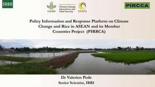 Policy Information and Response Platform on Climate
Change and Rice in ASEAN and its Member
Countries Project (PIRRCA)
Dr Valerien Pede
Senior Scientist, IRRI
 