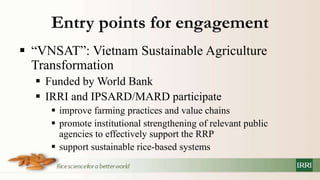 Policy information and response platform on climate change and rice in asean and its member countries project