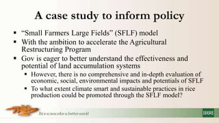 Policy information and response platform on climate change and rice in asean and its member countries project