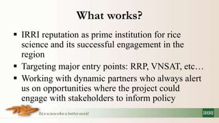 Policy information and response platform on climate change and rice in asean and its member countries project
