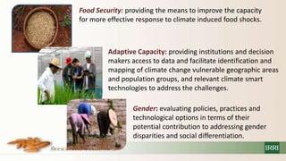 Policy information and response platform on climate change and rice in asean and its member countries project