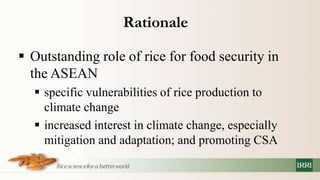 Policy information and response platform on climate change and rice in asean and its member countries project
