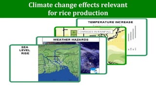 Policy information and response platform on climate change and rice in asean and its member countries project