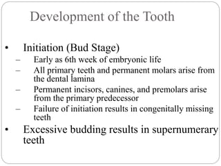 Development of the Tooth
• Initiation (Bud Stage)
– Early as 6th week of embryonic life
– All primary teeth and permanent molars arise from
the dental lamina
– Permanent incisors, canines, and premolars arise
from the primary predecessor
– Failure of initiation results in congenitally missing
teeth
• Excessive budding results in supernumerary
teeth
 