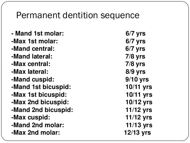 Permanent Dentition Eruption Chart