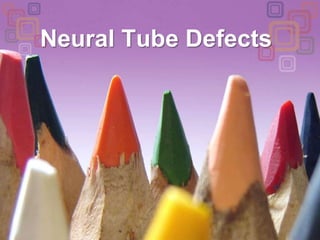 Neural Tube Defects 