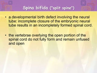 Spina bifida ("split spine") a developmental birth defect involving the neural tube: incomplete closure of the embryonic neural tube results in an incompletely formed spinal cord. the vertebrae overlying the open portion of the spinal cord do not fully form and remain unfused and open 