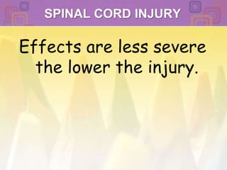 SPINAL CORD INJURY Effects are less severe the lower the injury.