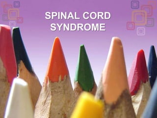 SPINAL CORD SYNDROME