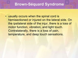 Brown-Séquard Syndromeusually occurs when the spinal cord is hemisectioned or injured on the lateral side. On the ipsilateral side of the injur, there is a loss of motor function, vibration, and light touch. Contralaterally, there is a loss of pain, temperature, and deep touch sensations.
