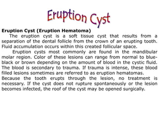Eruption Cyst (Eruption Hematoma)
The eruption cyst is a soft tissue cyst that results from a
separation of the dental follicle from the crown of an erupting tooth.
Fluid accumulation occurs within this created follicular space.
Eruption cysts most commonly are found in the mandibular
molar region. Color of these lesions can range from normal to blue-
black or brown depending on the amount of blood in the cystic fluid.
The blood is secondary to trauma. If trauma is intense, these blood
filled lesions sometimes are referred to as eruption hematomas.
Because the tooth erupts through the lesion, no treatment is
necessary. If the cyst does not rupture spontaneously or the lesion
becomes infected, the roof of the cyst may be opened surgically.
 