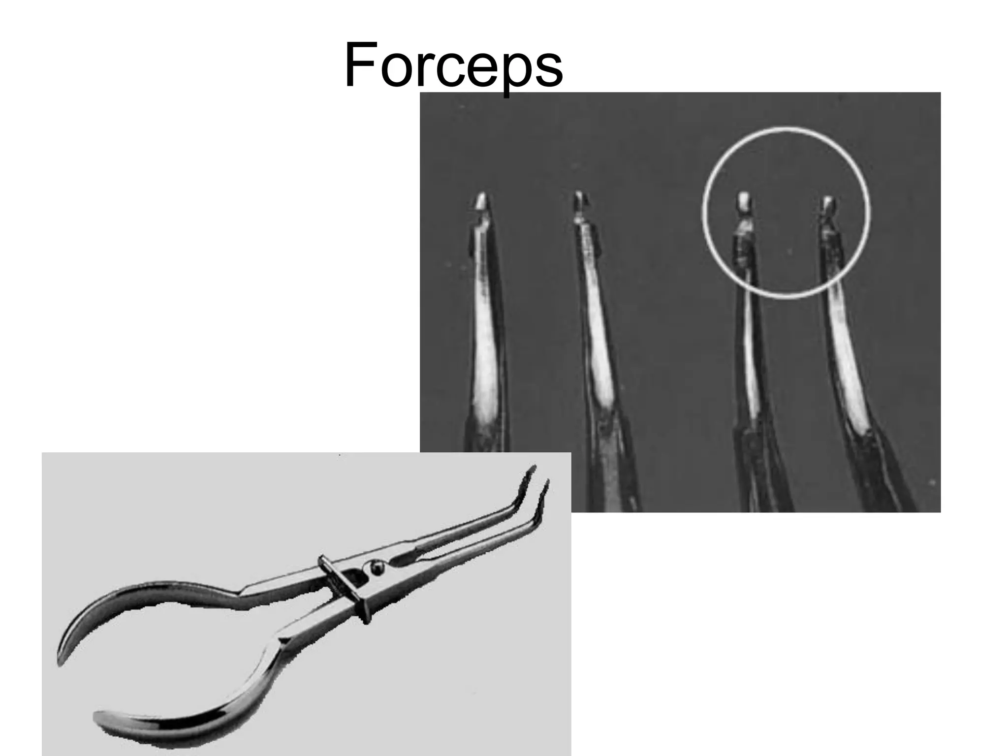 Forceps
