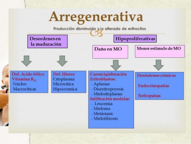 ANEMIA REGENERATIVA Y ARREGENERATIVA PDF