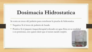 Dosimacia Hidrostatica
Se corta un trozo del pulmón para corroborar la prueba de hidrostatica.
• Negativa: Si el trozo de pulmón de hunde.
• Positiva: Si el paquete traqueobroquial colocado en agua flota en su totalidad
o en porciones, esto quiere decir que el recien nacido respiró.
 